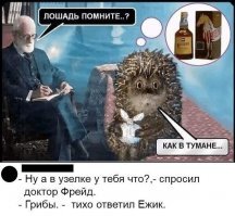 Прикольные и смешные картинки