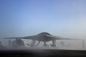 Красавец! А вот он чуть поближе..