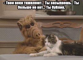 Интересные цитаты из телесериала Альф