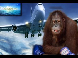 Зачем ему в Афганистан?