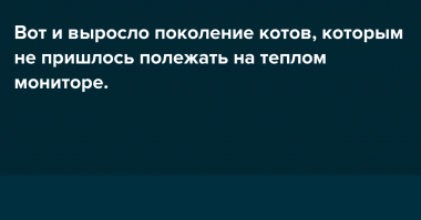 Пообщайся с поколением Z и почувствуй себя древним старцем