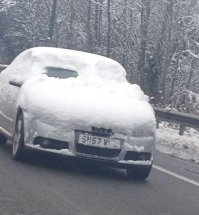 Хоть морду расчистил... не все так делают.