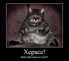 Намешалось