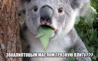 «Чудесный» моющий раствор, от которого все домохозяйки сходят с ума