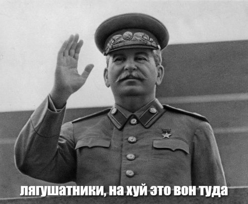 Агентство «Франс-пресс» назвало парад в честь снятия Блокады «возмутительным карнавалом»