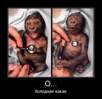 Прикольные и смешные картинки