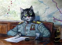 Если кот маршал,то выглядеть он должен так.