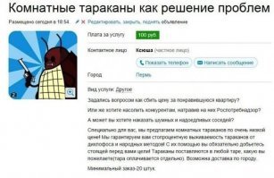Пестрый мир насекомых