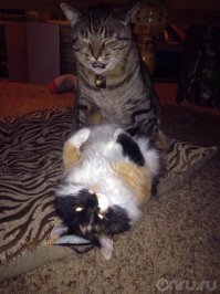 Камеру убрал!