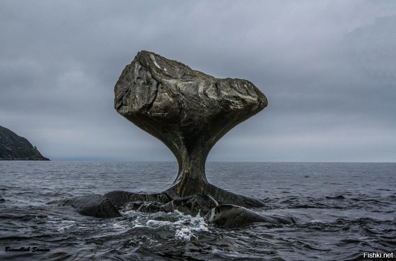 Вода камень точит..