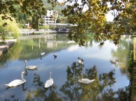 за неделю уже третий пост про то как в Абхазии плохо. Случайность - не думаю. 
Отдыхали в этом году в Цитрусовом. Хочу вас заверить никаких ужасов там нет. Комфорта особого тоже не ждите, но его и в Крыму практически нет. Зато есть уникальная природа, горы, чистейшее море,  обилие фруктов, вино и малолюдные красивейшие пляжи. Нет хорошего пива, мало свежей рыбы и дорогая молочка. Цены разные: что то намного дешевле чем в России (парфюмерия, оптика, спиртное, бензин :) ), что то дороже (фрукты, колбасы). Мы снимали 4х комнатную квартиру 500 метров от моря в середине августа за 1200 в сутки. Никаких проблем с электричеством, водой, интернетом или местными. Машину бросал у подъезда, у моря, в горах у дороги на пол дня и ничего, даже наоборот: после серпантина в большом Сочи пришлось менять задние колодки, соседи-местные абсолютно бесплатно и с охотой помогли. Все вежливые, здоровались, общались. В кафешке напротив абсолютно бесплатно дали попользоваться вайфаем пока не настроили хозяйский инет(приехали поздно,практически ночью). На рынке делали скидки, везде наливали дегустировать вино, чачу и коньяк - очень понравилось полусладкое домашнее вино из сорта Кокур на рынке в Пицунде и кизиловое домашнее вино на рынке в Гаграх. 
Море прозрачное, чище чем в Сочи. Рыб много, но местные почему то очень мало занимаются ловлей и с точки зрения понырять в Крыму интереснее. Пеший туризм не развит, ходили пешочком на Гегский водопад - местные в начале ржали, но на обратной дороге смотрели с уважением. 
Зы. по мне там лучше чем на нашем побережье от Джугбы до Адлера, но каждому свое...