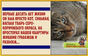 Намешалось