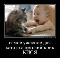 Намешалось