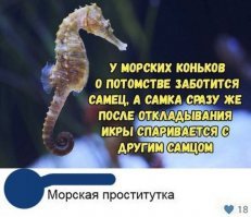 Самые необычные секcуальные традиции народов мира