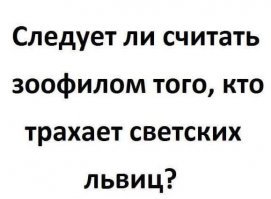 Супруга пермского депутата завела львенка и сдает его в аренду