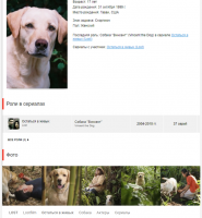 Да нет!  На самом деле это был сон собаки.......


ну сам посуди она появляется неожиданно и в ключевых моментах......спасая кучу людей.......Ведь каждый во сне видит себя героем))