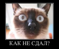 Постновогоднее происшествие