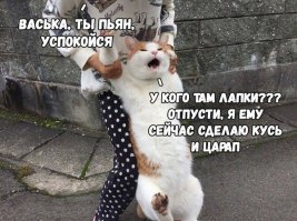 Прикольные и смешные картинки