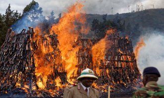 Глупые кенийцы решили, что чем меньше оружия, тем безопаснее. А торговцы смертью и любители переворотов - переживут без сверхприбылей.
