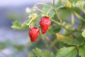 Тверские просторы ....