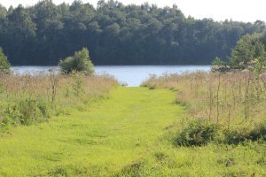 Тверские просторы ....