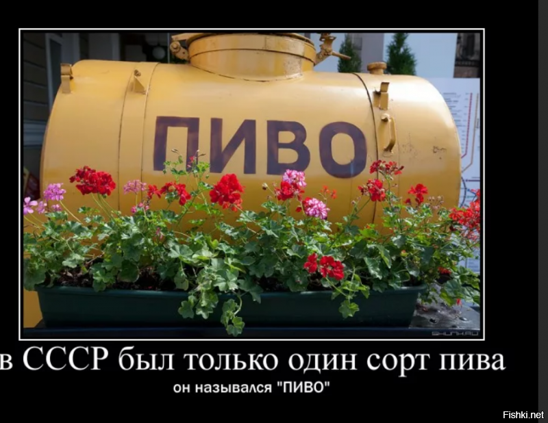 Прогресс