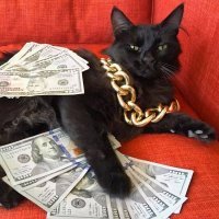 Котейка рубль бережет