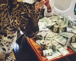 Котейка рубль бережет