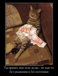 Котейка рубль бережет
