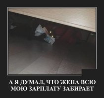 Котейка рубль бережет