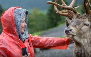 Не фотограф, но люблю фотать животинку - радуюсь, когда "модель" ещё себя и погладить разрешает :)