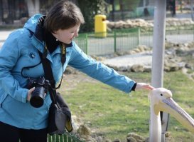 Не фотограф, но люблю фотать животинку - радуюсь, когда "модель" ещё себя и погладить разрешает :)