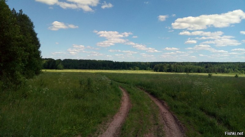 Костромская область