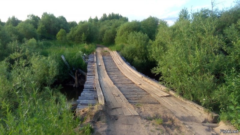 Костромская область