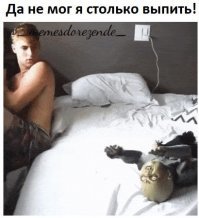 Подборка самых крутых и смешных гифок