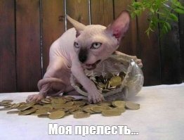 Котейка рубль бережет