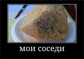 Прикольные и смешные картинки