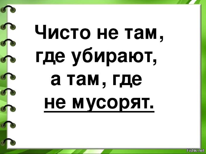 Ни порядок. Высказывания о чистоте. Чисто не там где убирают а там где не мусорят. Фразы про порядок. Цитаты про чистоту.