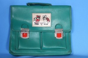 а разве на этом фото не ранец с кармашками??? и уверен что если его открыть то там окажется как минимум 2 отделения, одно для учебников(побольше) второе для тетрадей и дневника