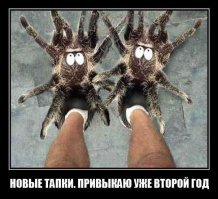 Тапочки-зверюшки сведут с ума владельцев домашних животных!