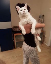 Тоже рекордсмен...