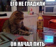 Гитлер всех переиграл, а СССР мучил собак. 8 мифов о космосе