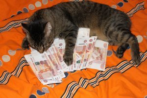 мой PeaceDuke -год назад ,перед покупкой авто  :)