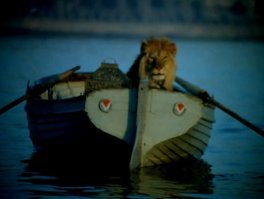 Котейка рубль бережет