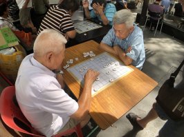 Сингапур - жемчужина Азии