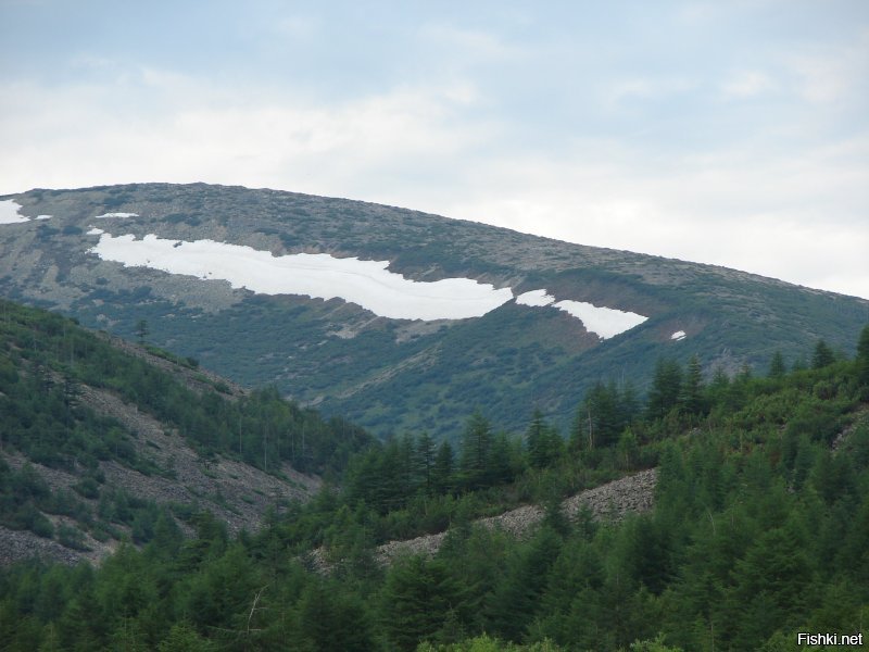 снег на сопках лежит 30 июня)) а на улице плюс 25