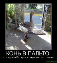 Картинки с надписями