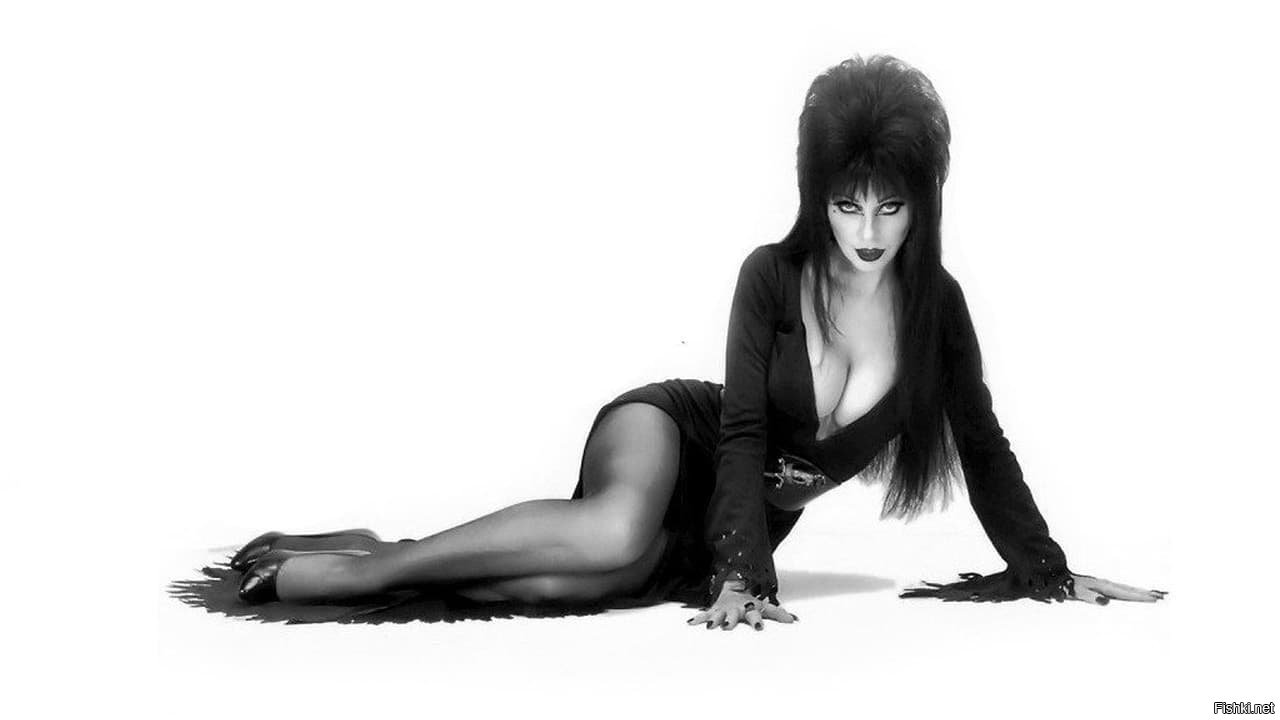 Elvira mistress of the Dark 1988