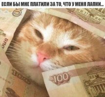 Котейка рубль бережет