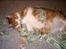 Котейка рубль бережет